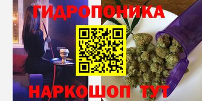 эйфоретик Краснознаменск