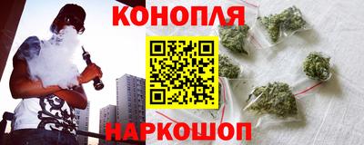 стаф Краснодар