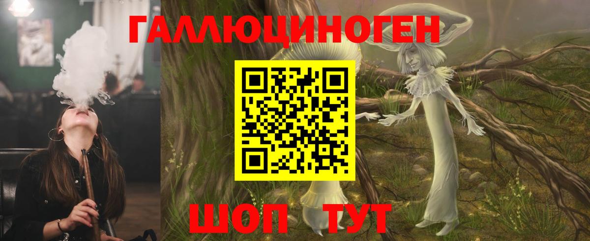Псилоцибиновые грибы MAGIC MUSHROOMS  Вход с VPN  хочу наркоту  Кисловодск  Псилоцибиновые грибы Cubensis 